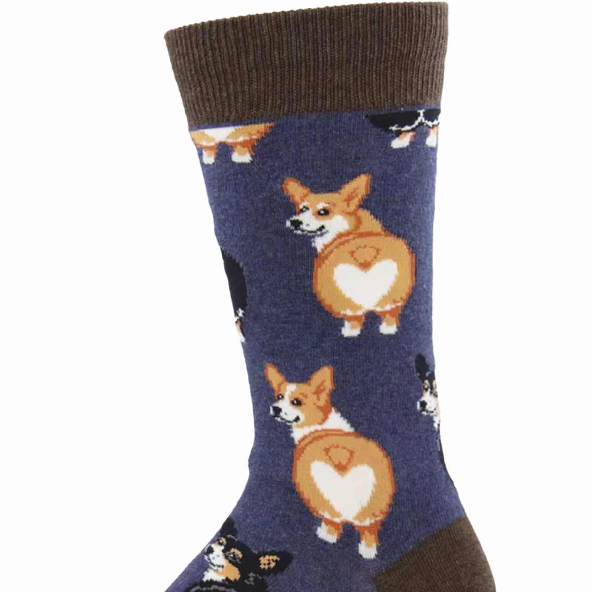 Corgi Butt