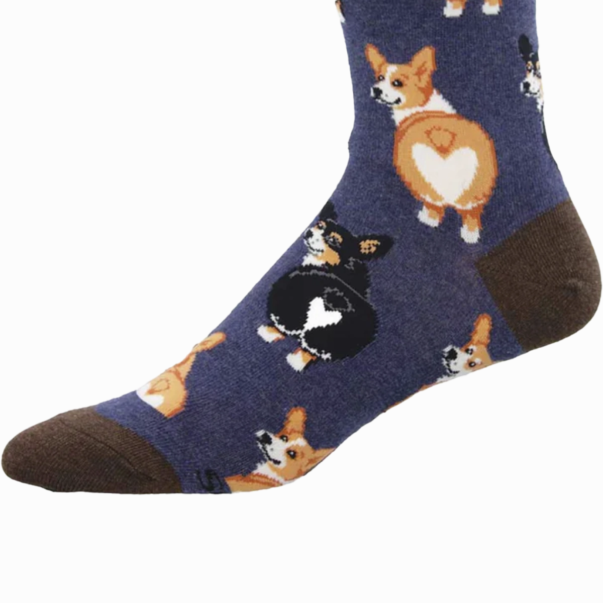 Corgi Butt