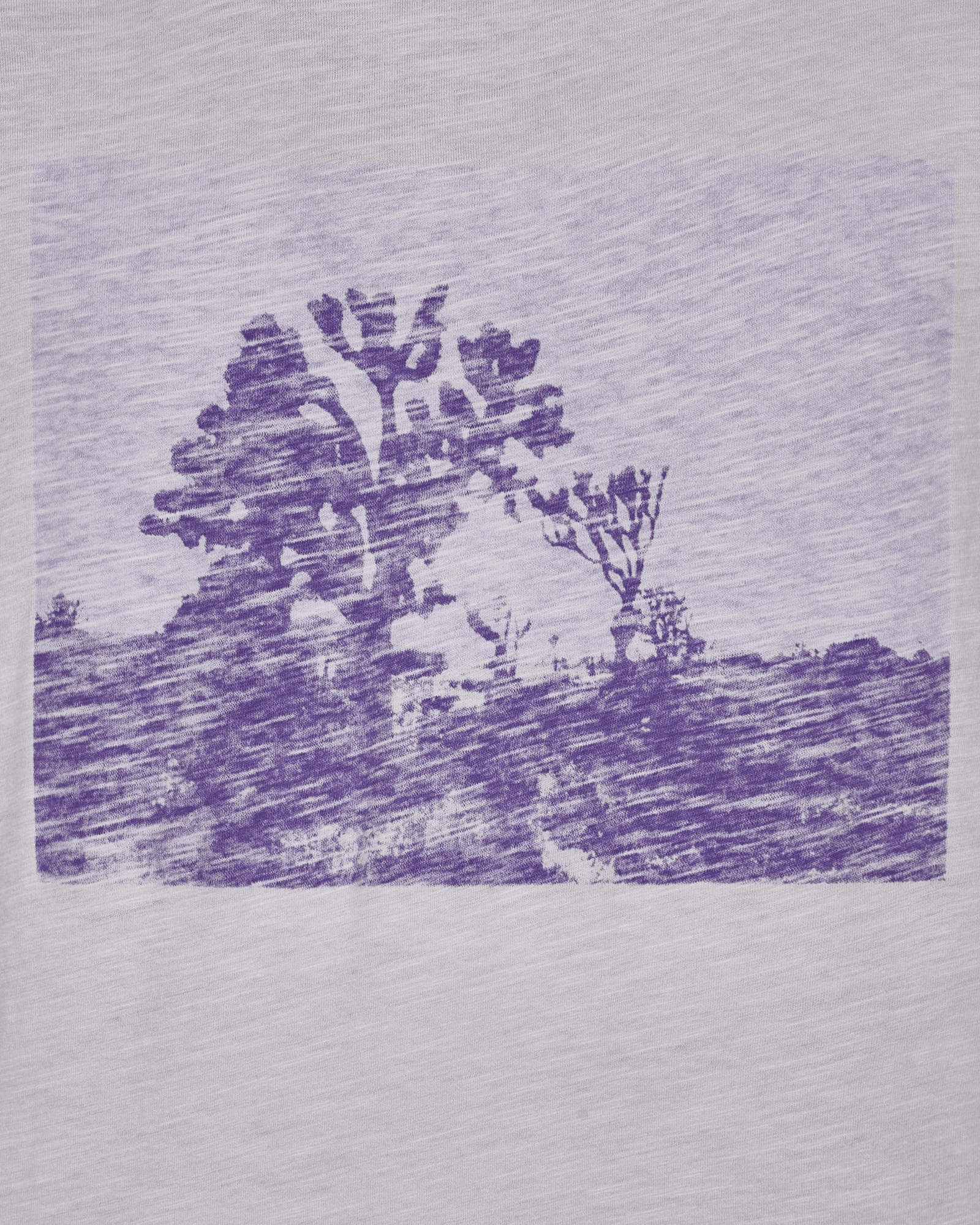 Graphic Longsleeve T-Shirt Purple