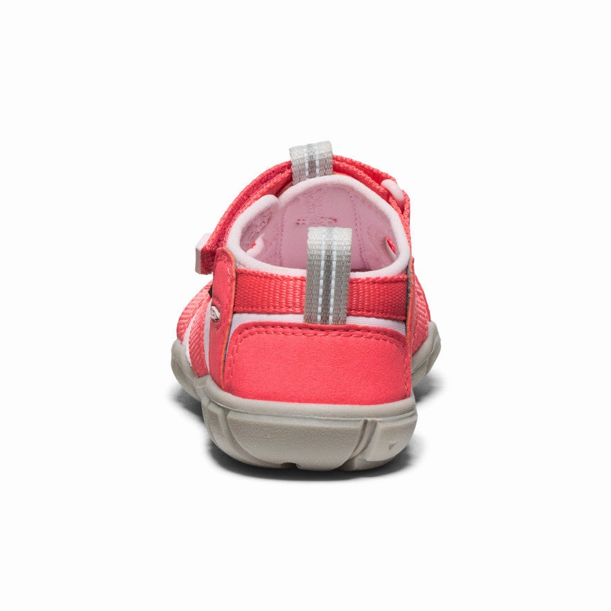 Little Kids' Seacamp II CNX  |  Dubarry/Giggle Pink