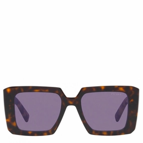 Prada 23ys Tortoise