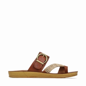 Women's Bria